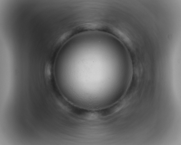 X0000114600115200910191626