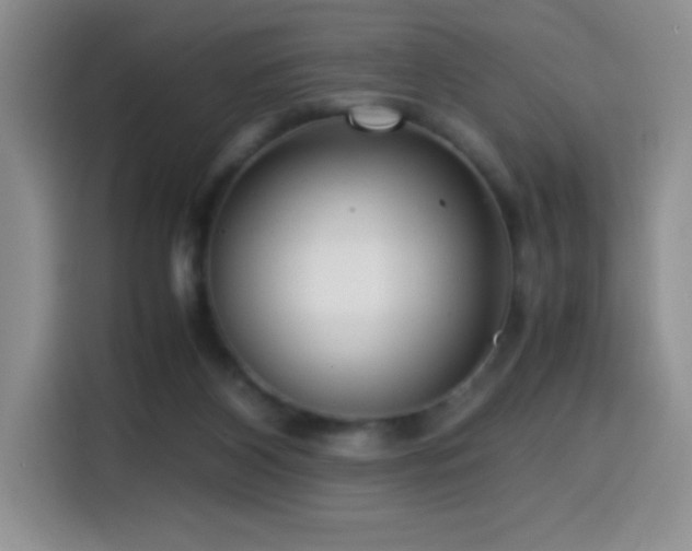 X0000114600116200910191626