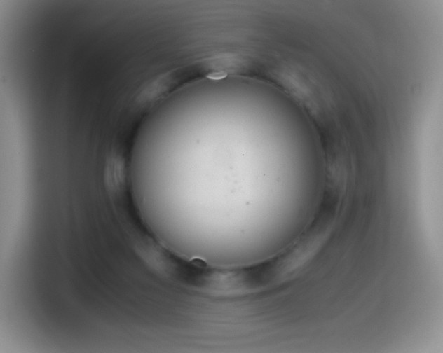 X0000114600117200910191626