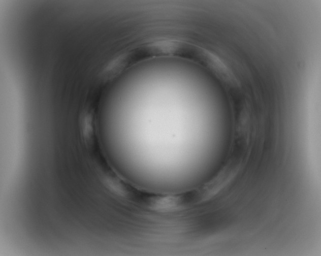 X0000114600122200910191626