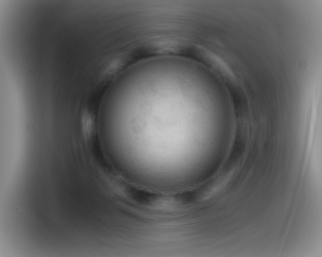 X0000114600123200910191626