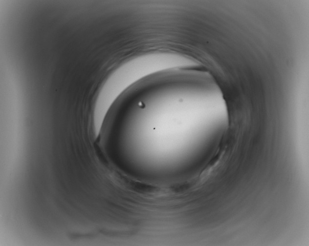 X0000114600124200910191626