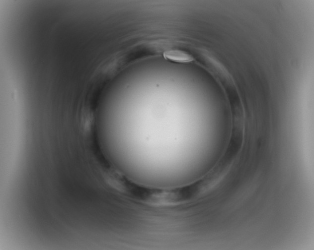 X0000114600125200910191626