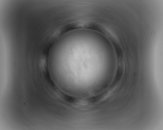 X0000114600127200910191626