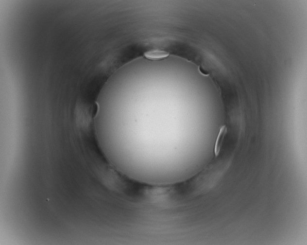 X0000114600129200910191626