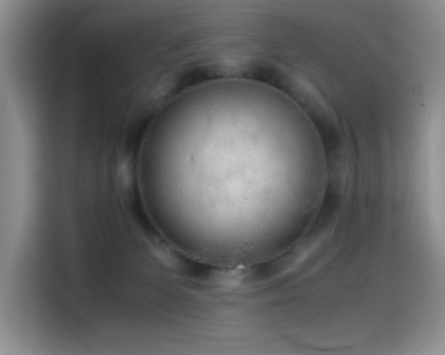 X0000114600131200910191626