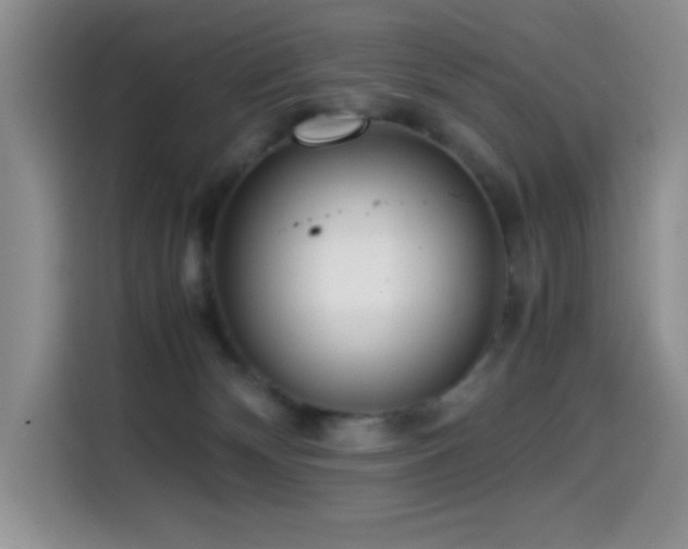 X0000114600132200910191626