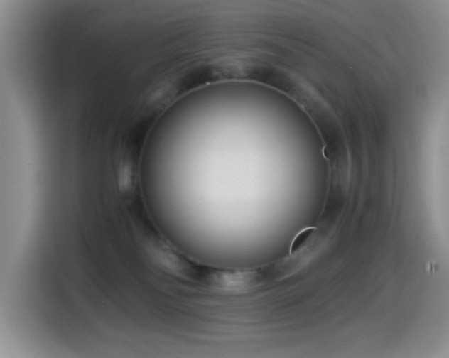 X0000114600134200910191626