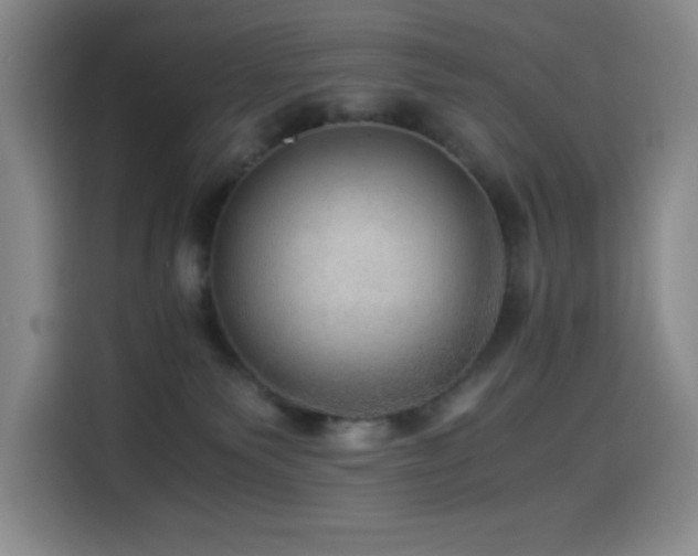 X0000114600135200910191626