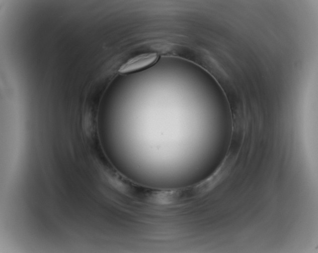 X0000114600136200910191626