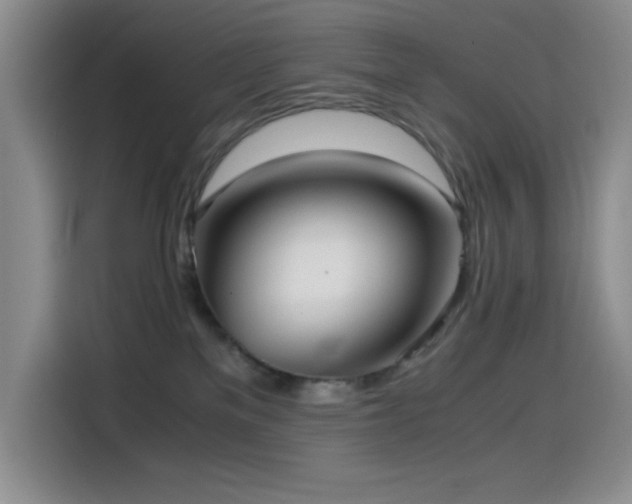 X0000114600137200910191626