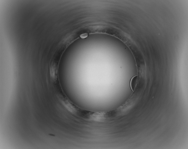 X0000114600138200910191626