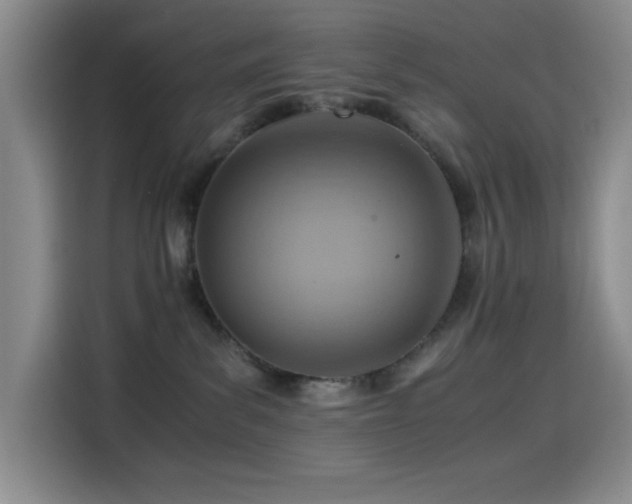 X0000114600139200910191626