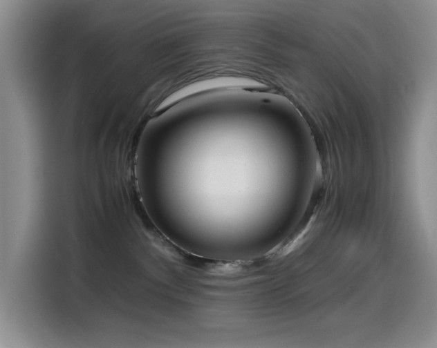 X0000114600140200910191626