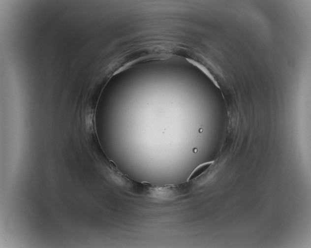 X0000114600141200910191626