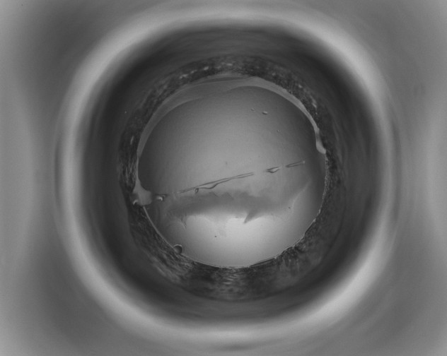 X0000114600143200910191626