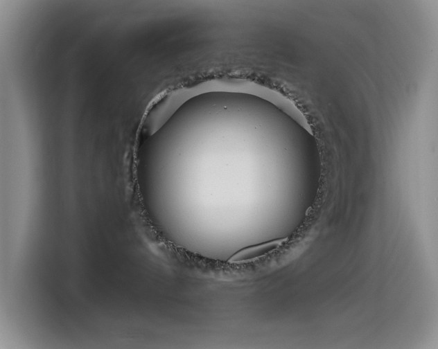 X0000114600144200910191626