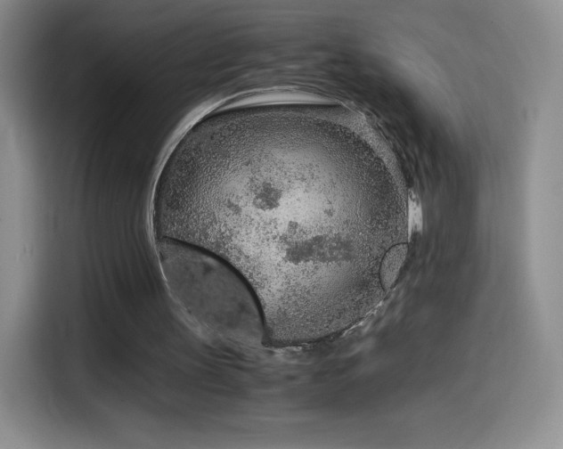 X0000114600147200910191625