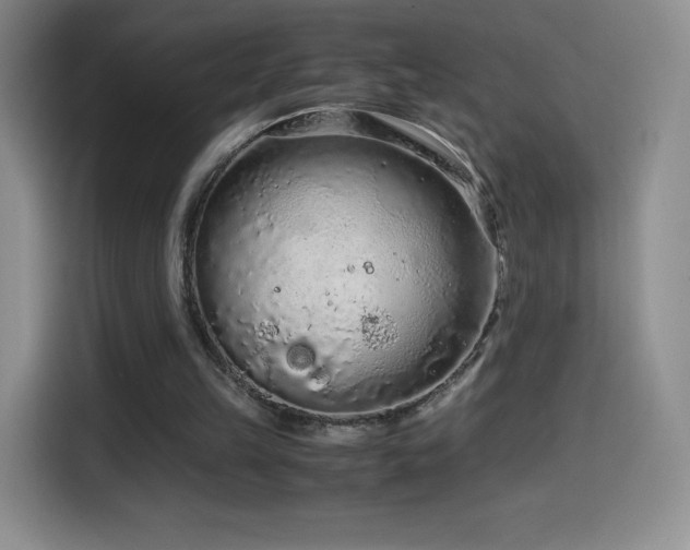 X0000114600149200910191625