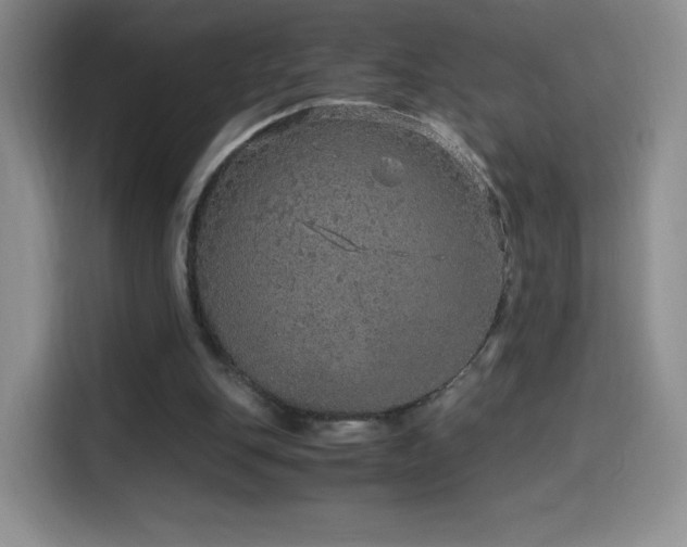 X0000114600151200910191625