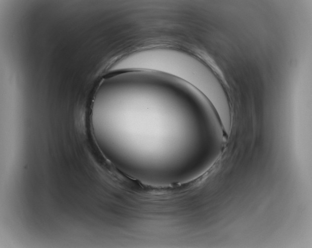 X0000114600154200910191625