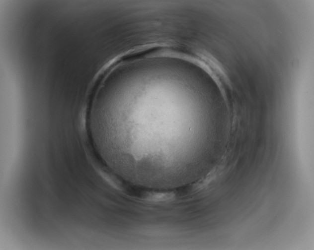 X0000114600155200910191625