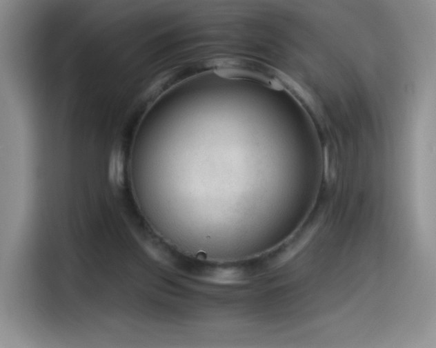 X0000114600157200910191625