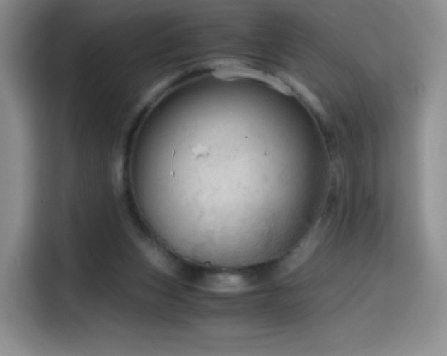 X0000114600159200910191625