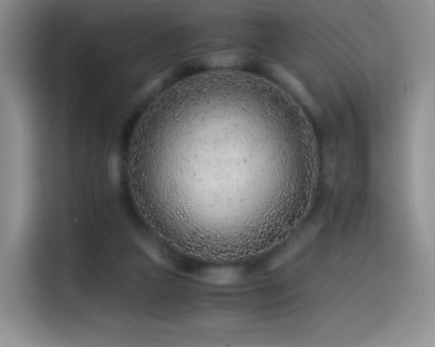 X0000114600161200910191625