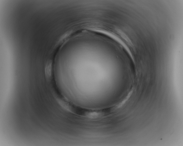 X0000114600163200910191625