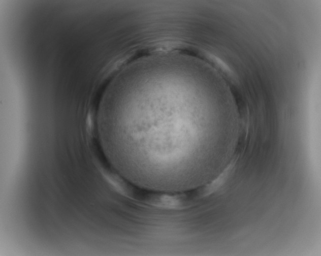 X0000114600166200910191625