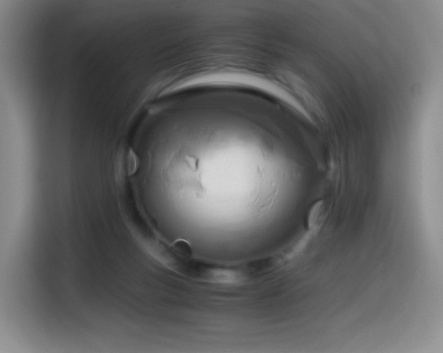 X0000114600167200910191625