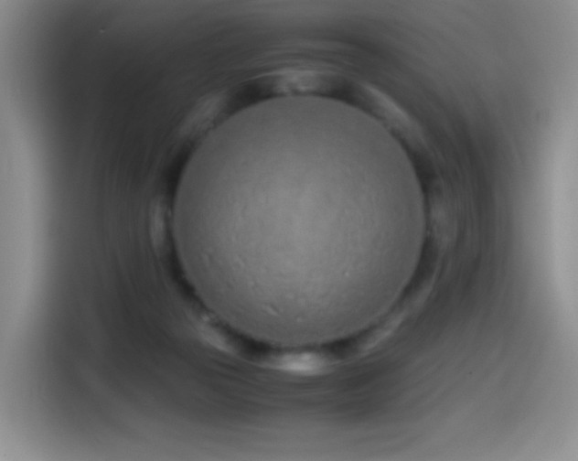 X0000114600169200910191625