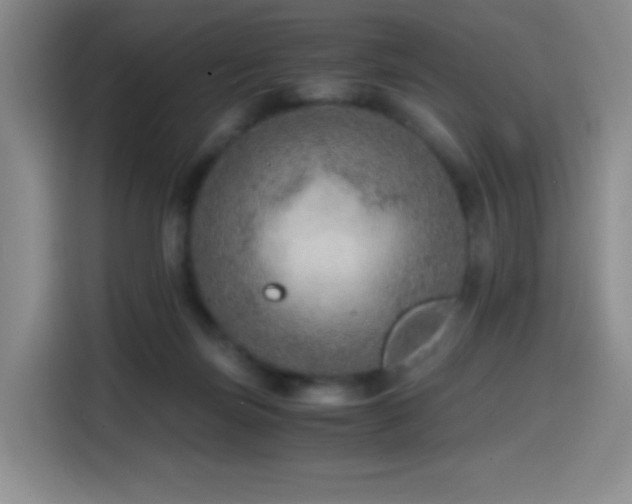 X0000114600171200910191625