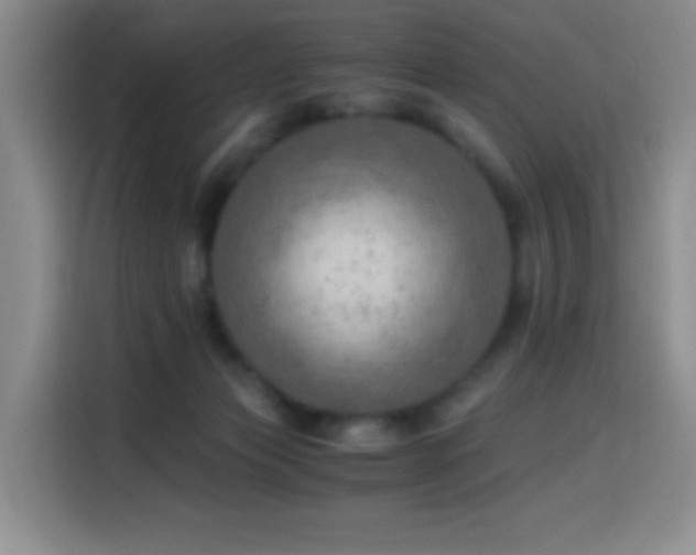 X0000114600173200910191625