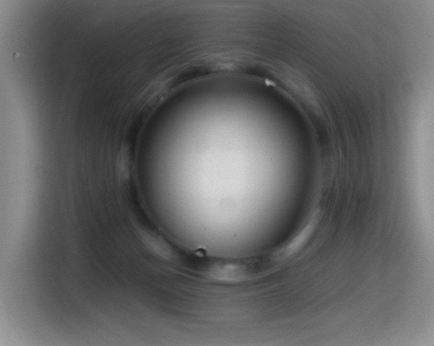 X0000114600174200910191625