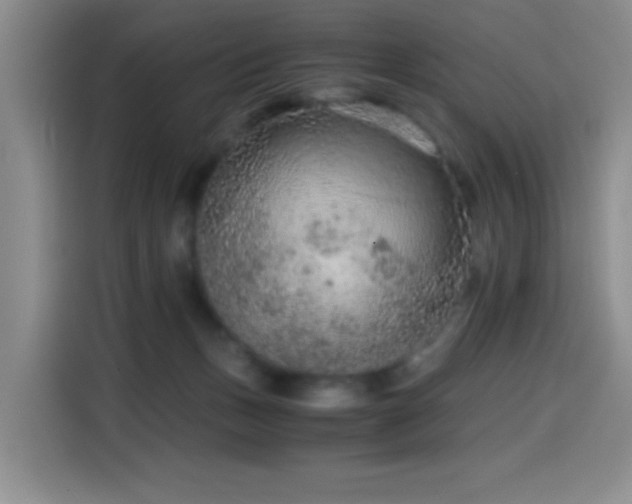 X0000114600175200910191625