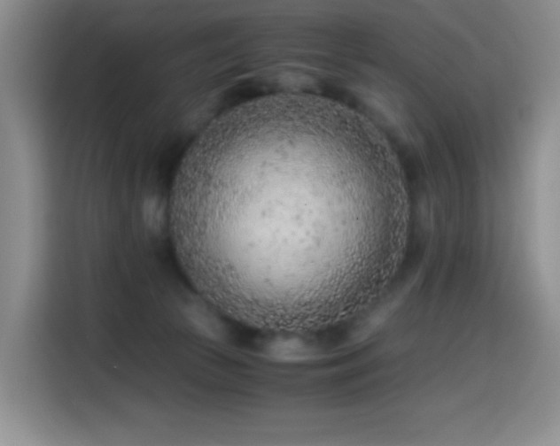 X0000114600177200910191626