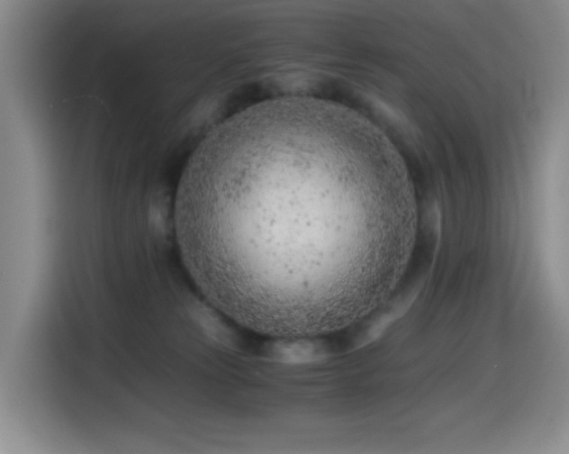 X0000114600181200910191626