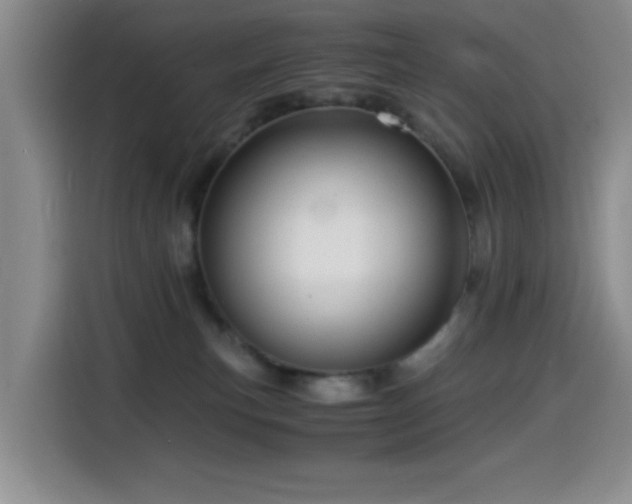 X0000114600183200910191626