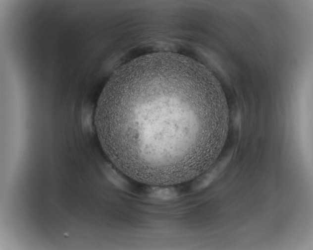 X0000114600185200910191626