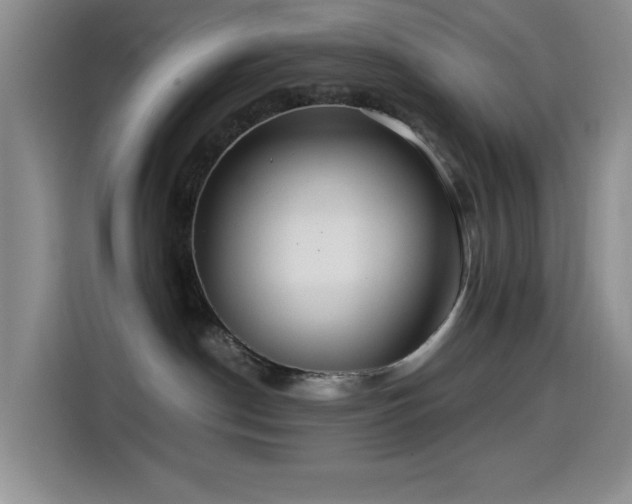 X0000114600190200910191626