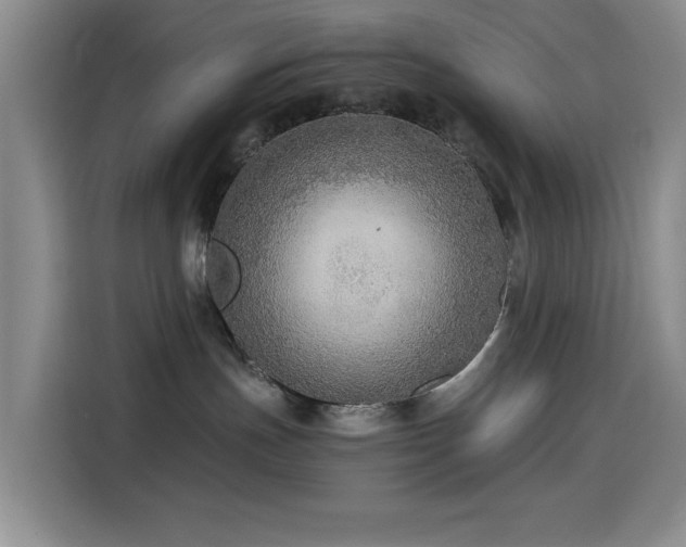 X0000114600191200910191626