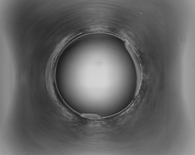 X0000114600193200910191625