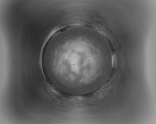 X0000114600195200910191625