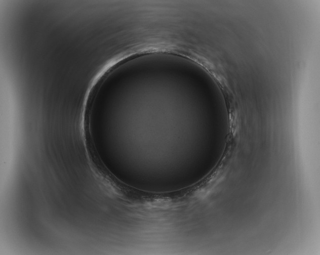 X0000114600196200910191625