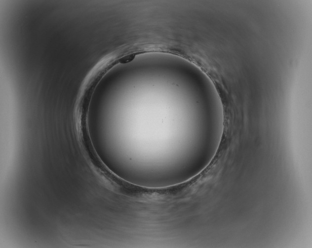 X0000114600197200910191625