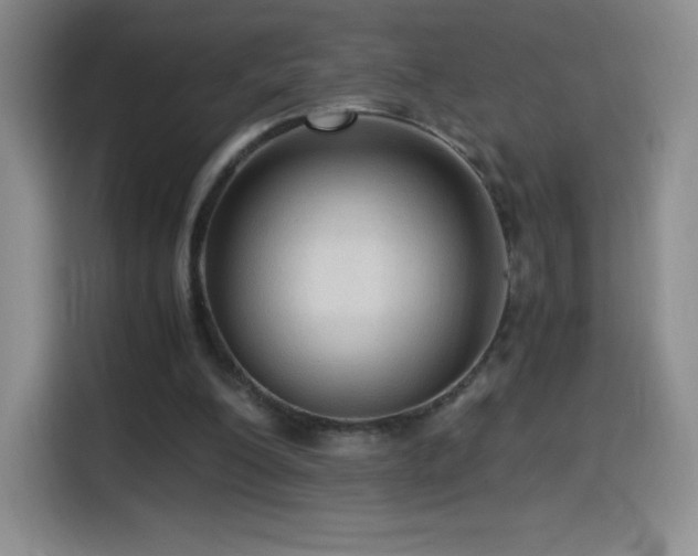 X0000114600200200910191625