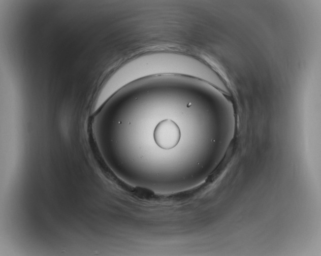 X0000114600201200910191625