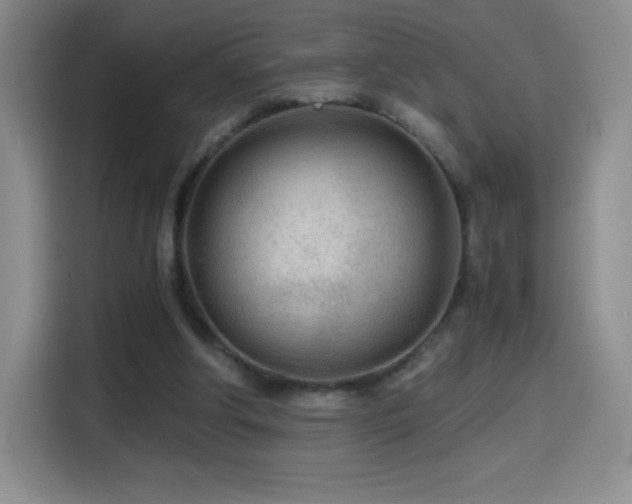 X0000114600202200910191625